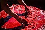 Leather Tannery, Medina of Fez, Morocco