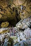 Avaiki Cave, Niue Island, South Pacific