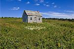 Old House in Field, Bonaventure Island, Gaspe, Quebec, Canada