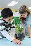 Students in Classroom, Examining Ecosystem Project