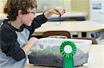 Student mit preisgekrönten Wurm Kompostierung wissenschaftliches Projekt