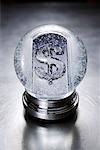 Dollar Sign in Snow Globe