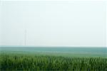 Foggy landscape with wind turbines in the distance
