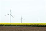 Line of wind turbines in field