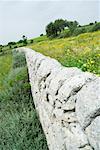 Low stone wall in Mediterranean landscape