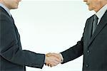 Two businessmen shaking hands, cropped side view