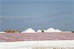Salt Field, Bonaire, Netherlands Antilles
