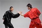 deux hommes pratiquant de kung fu chinois