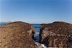 Rocks in Ocean, Mallorca, Spain