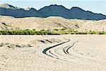 Tire tracks in desert landscape, Argentina, South America