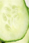 Cucumber slice, extreme close-up
