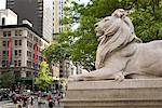 Statue de lion en face de Lenox Library, bibliothèque publique de New York, New York City, New York, États-Unis