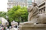 Statues de Lions en face de Lenox Library, bibliothèque publique de New York, New York City, New York, États-Unis