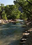 River, Zion National Park, Utah, USA