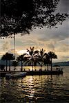 Palmiers sur le quai au coucher du soleil, lac Toba, Sumatra, Indonésie