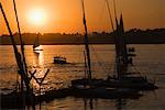 Feluccas on Nile River, Luxor, Egypt