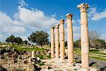 Decumanus Maximus, Umm Qais, Jordanien
