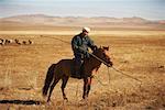 Homme à cheval dans le champ, Mongolie