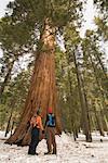 Couple randonnée à Mariposa Grove, Parc National de Yosemite, Californie, USA