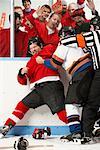 Hockey Fight