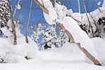 Telemark Skiing on Asahidake, Daisetsuzan National Park, Hokkaido, Japan