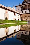 Innenhof und Teich, Palastgärten der Alhambra, Granada, Andalusien, Spanien