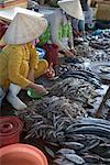 Selling Fish, Duong Dong Market, Duong Dong, Phu Quoc, Vietnam