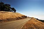 Mountain Road, North California, California, USA