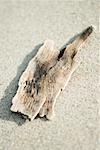 Driftwood, close-up
