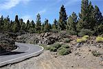 Road on Pico del Teide, Tenerife, Canary Islands, Spain