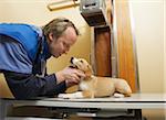 Veterinarian with Dog