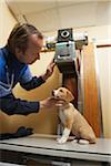 Veterinarian with Dog