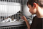 Boy with Cat in Cage