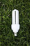 Energy saving lightbulb on grass