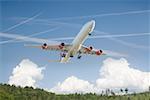 Airplane above a forest