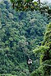 Tourist Descending on Zip Line, Costa Rica