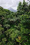 Arenal Volcano und Rainforest, Costa Rica