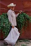 Farmer Carrying Weeds for Chicken Coop, Cienfuegos, Cuba