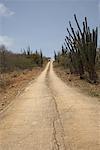 Washington Slagbaai National Park Bonaire, Netherlands Antilles