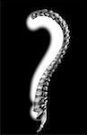 Spine question mark