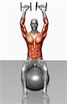 Dumbbell overhead press