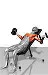 Dumbbell incline fly exercises (Part 2 of 2)