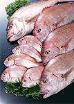 Brème de mer