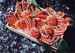 Crabe des neiges