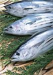 Bonito