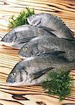 Black Porgy