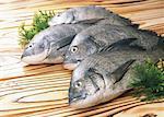Porgy noir