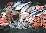 Fishery Products