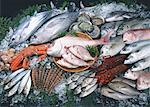 Produits de la pêche