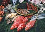 Produits de la pêche